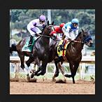 what is a trixie bet in horse racing